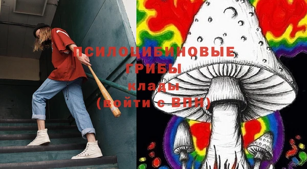 синтетический гашиш Богородицк