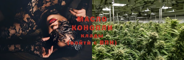 мдпв Богородск