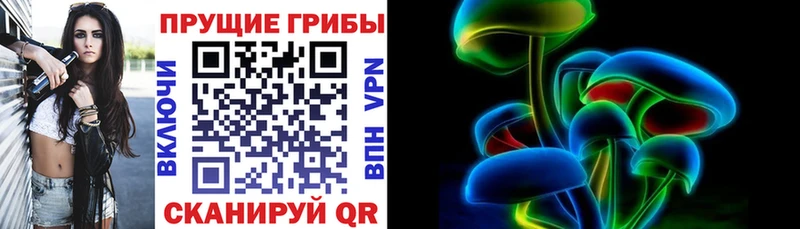 Галлюциногенные грибы Psilocybine cubensis  Дубовка 